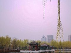 -莲花池公园