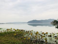 -东湖落雁景区