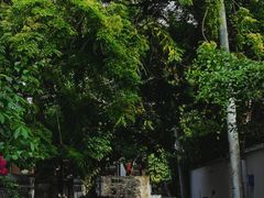 -三溪村