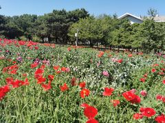 -国家植物园南园