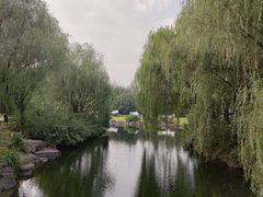 -上海滨江森林公园