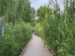 -三里河公园