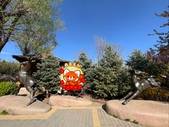 -北宫国家森林公园
