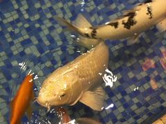 -盆满钵满·国家非遗传承(云台店)
