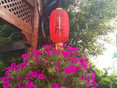 -慢丽江·云南野生菌土鸡锅(付家庄店)