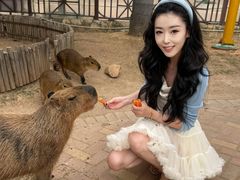 -灵玲国际马戏城