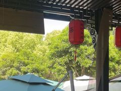 -阿巧茶庄