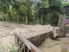 -杭州野生动物世界