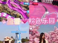 -盈香心动乐园