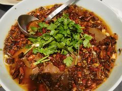 -望乡楼上海菜(日月光店)