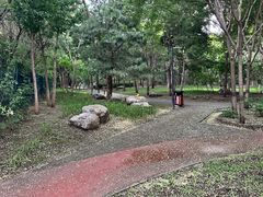 -东升文体公园