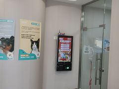 -瑞鹏宠物医院·骨科·猫科·内科(第一中心)