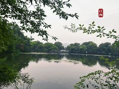 -西湖游船