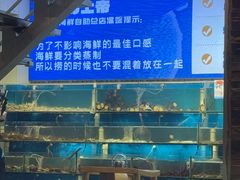 -仙螺岛海鲜自助餐厅(总店)