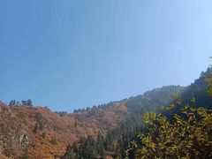 -兰山公园