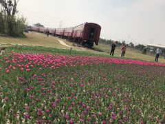 -菊园百果园
