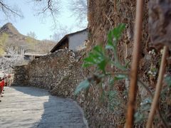 -水峪民俗村
