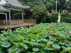 -长洲岛