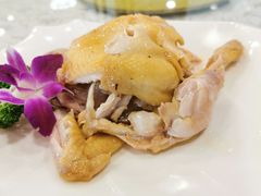 手撕盐焗鸡-新塘畔酒楼(里水大道北店)