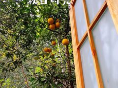 -张鸟园农家乐(张鸟园店)