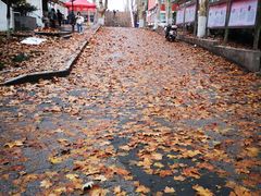 -南京特殊教育师范学院(燕子矶校区)