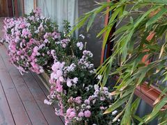 -小茶闲舍·观景商务茶馆(广州塔店)
