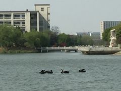 -江南大学(蠡湖校区)