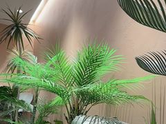 -奈雪的茶(广州万菱汇PRO店)