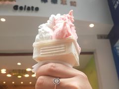 -柠檬车露(卖草地店)