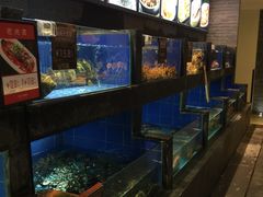 水产区-徐记海鲜(陕西历史博物馆|明德门店)