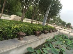 -红莲湖