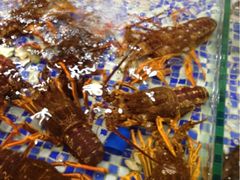 iphone_upload_pic-雅盛品931海鲜酒家