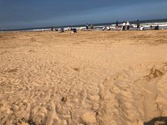 -日照海滨国家森林公园