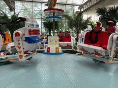 -南宫五洲植物乐园