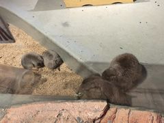 -正佳雨林生态植物园