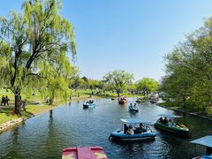 -上海共青森林公园