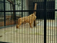 -广东茂名森林公园