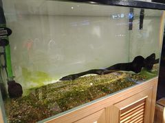 -甜心闲生传统手工冰粉(奎星楼店)