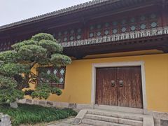 -江心屿景区