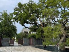 -北京世界公园