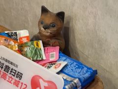 -宠爱国际动物医院·疑难骨科·心肾内科·皮肤科(太阳宫店)