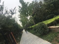 -唐城墙遗址公园
