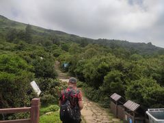 -大姆山草场