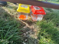 -浅山蜜塘奇妙乐园·亲子营地