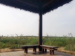 -西青郊野公园
