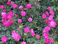 -人民公园(罗湖区)