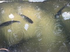-姥家大锅台水库渔家