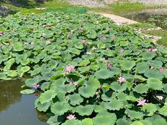 -北京天湖会议中心