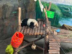 -青藏高原野生动物园