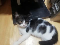 -万小咖.猫咖(中山路天虹店)